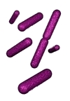enterobacteriaceae